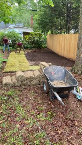Sod Installation