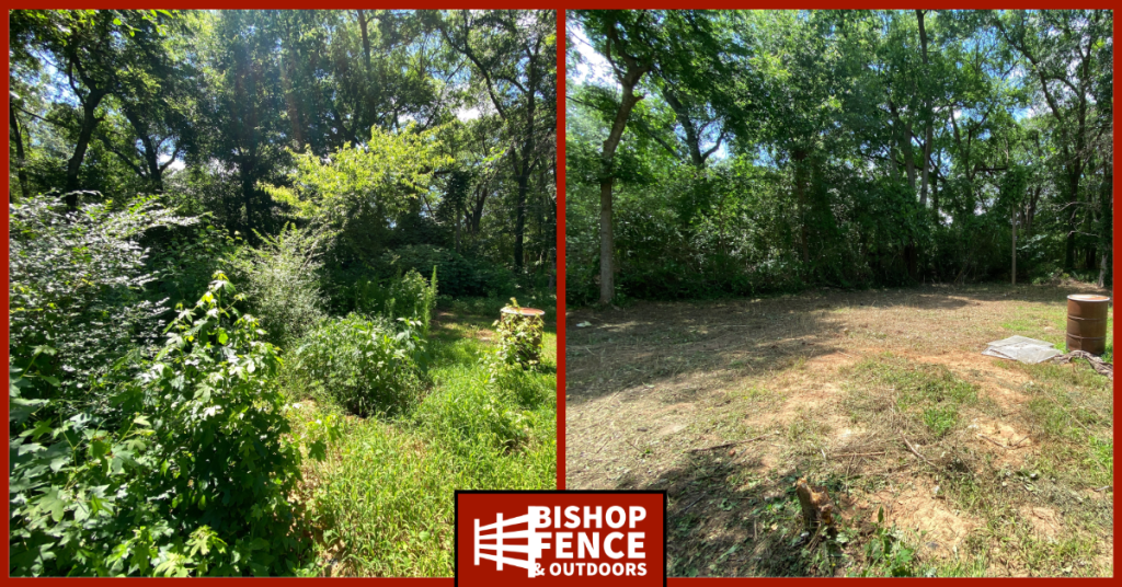 Brush Management Services 4 brush hogging and brush clean up-1