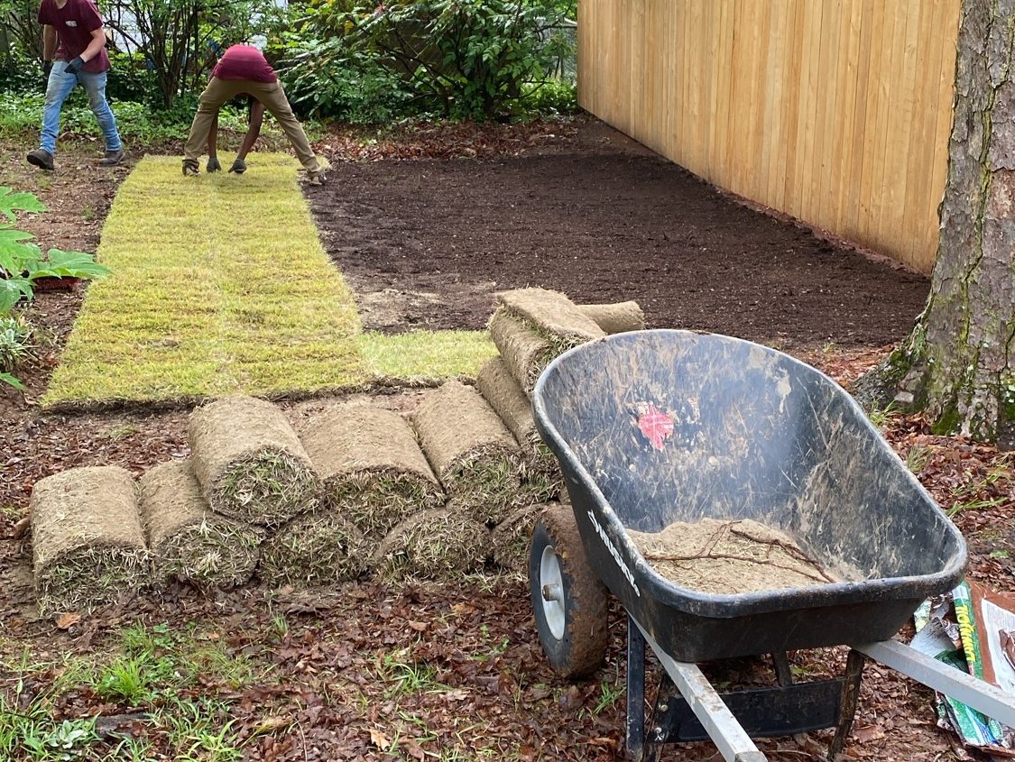 Sod Installation